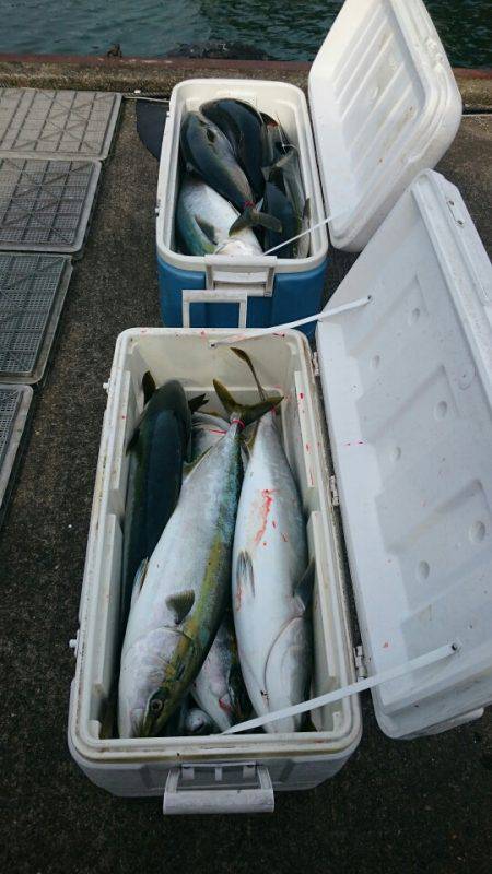 ARCADIAⅡ (アルカディアⅡ) 釣果