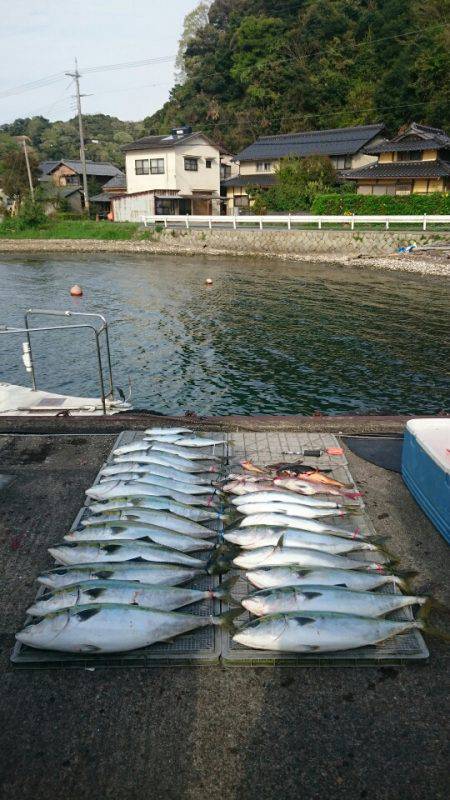 ARCADIAⅡ (アルカディアⅡ) 釣果