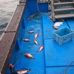 海龍丸（石川） 釣果