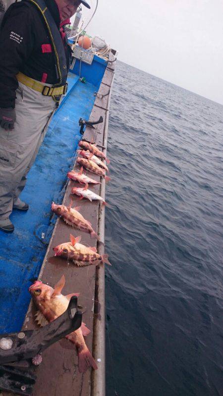 海龍丸（石川） 釣果