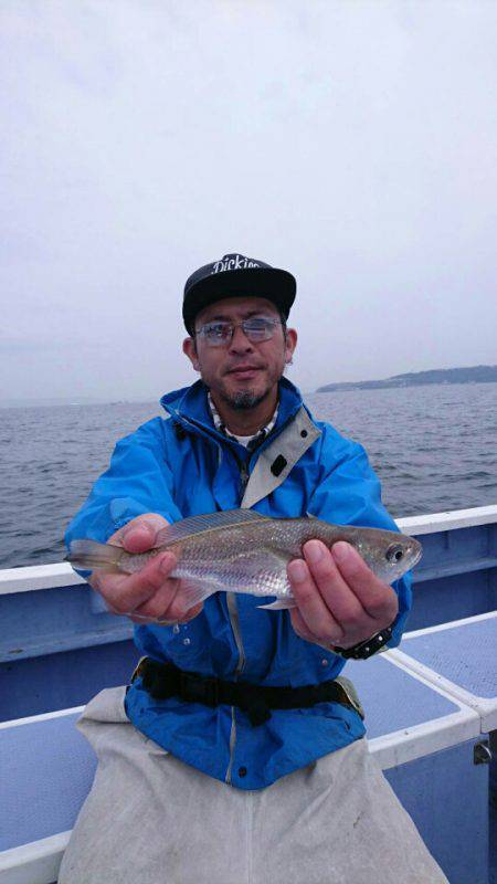 金沢八景鴨下丸 釣果