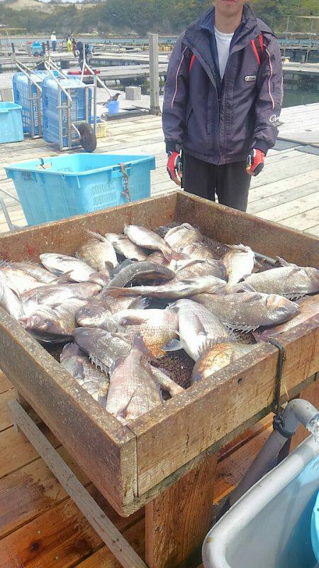 海の釣堀 海恵 釣果