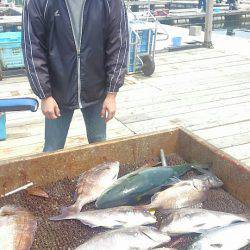 海の釣堀 海恵 釣果