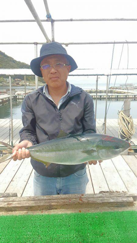 海の釣堀 海恵 釣果