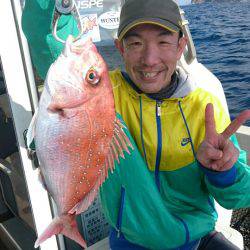 ARCADIAⅡ (アルカディアⅡ) 釣果