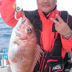 ARCADIAⅡ (アルカディアⅡ) 釣果