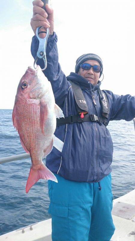 ARCADIAⅡ (アルカディアⅡ) 釣果