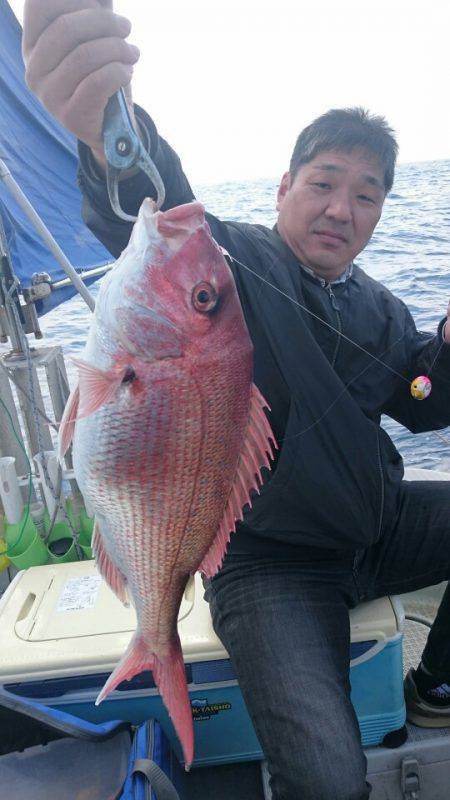 ARCADIAⅡ (アルカディアⅡ) 釣果