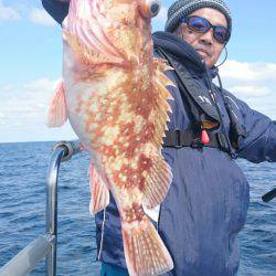 ARCADIAⅡ (アルカディアⅡ) 釣果