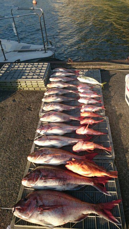 ARCADIAⅡ (アルカディアⅡ) 釣果