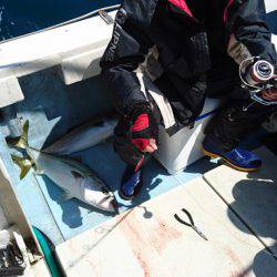 あみや渡船 JIGBOY 釣果