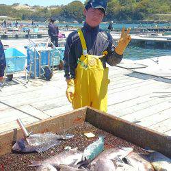 海の釣堀 海恵 釣果