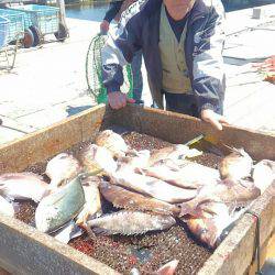 海の釣堀 海恵 釣果