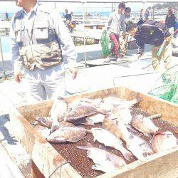 海の釣堀 海恵 釣果