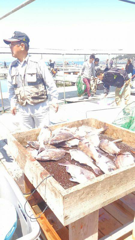 海の釣堀 海恵 釣果