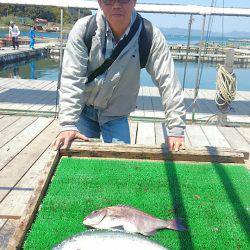 海の釣堀 海恵 釣果
