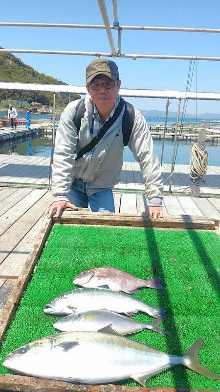 海の釣堀 海恵 釣果