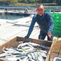 海の釣堀 海恵 釣果