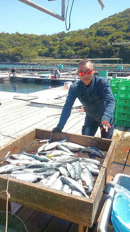 海の釣堀 海恵 釣果