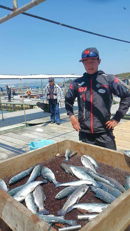 海の釣堀 海恵 釣果