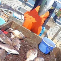 海の釣堀 海恵 釣果