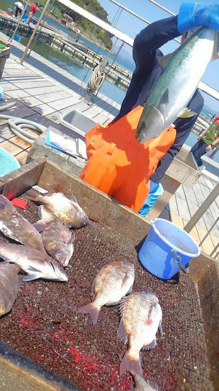 海の釣堀 海恵 釣果