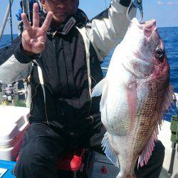 ARCADIAⅡ （アルカディアⅡ） 釣果