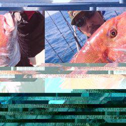 ARCADIAⅡ （アルカディアⅡ） 釣果