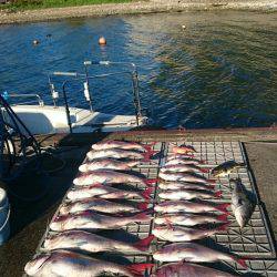 ARCADIAⅡ （アルカディアⅡ） 釣果