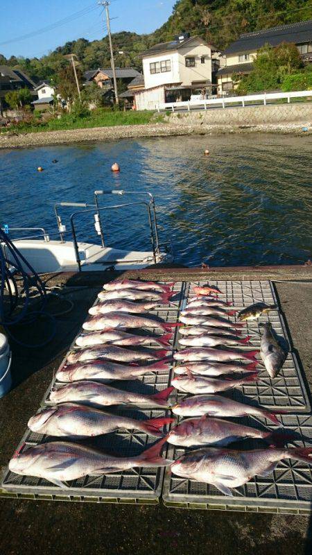 ARCADIAⅡ （アルカディアⅡ） 釣果