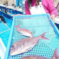 第三共栄丸 釣果