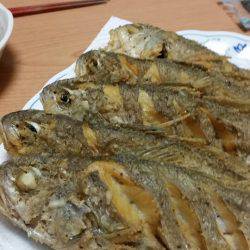 金沢八景鴨下丸 釣果