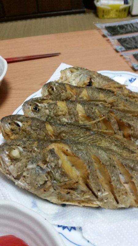 金沢八景鴨下丸 釣果