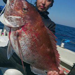 ARCADIAⅡ （アルカディアⅡ） 釣果