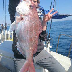 ARCADIAⅡ （アルカディアⅡ） 釣果