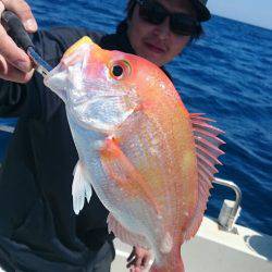 ARCADIAⅡ （アルカディアⅡ） 釣果