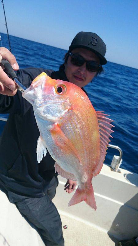 ARCADIAⅡ （アルカディアⅡ） 釣果