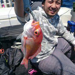 ARCADIAⅡ （アルカディアⅡ） 釣果