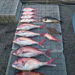 ARCADIAⅡ （アルカディアⅡ） 釣果