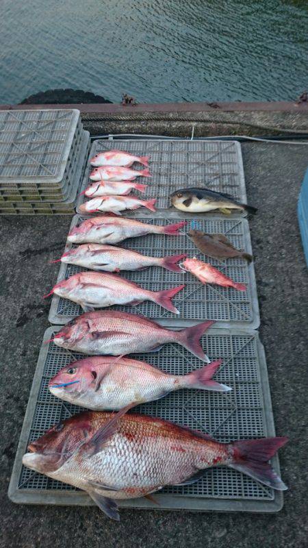 ARCADIAⅡ （アルカディアⅡ） 釣果…