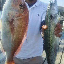 サンマリン 釣果