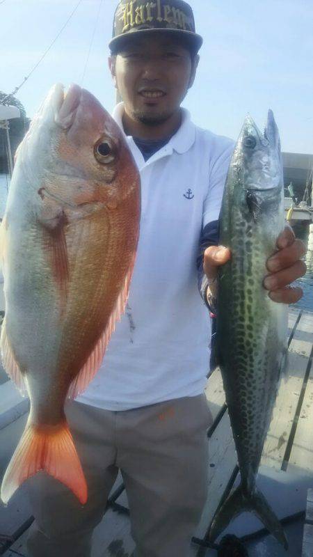 サンマリン 釣果