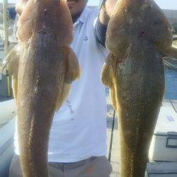 サンマリン 釣果