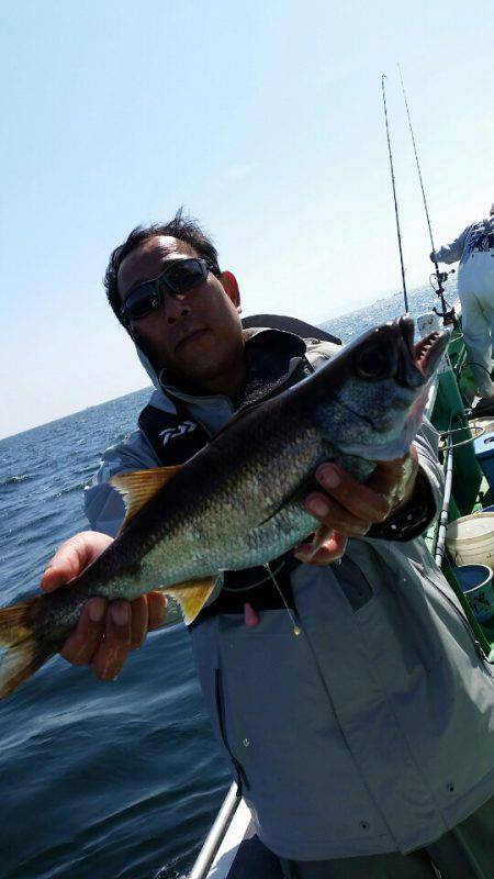 金沢八景鴨下丸 釣果