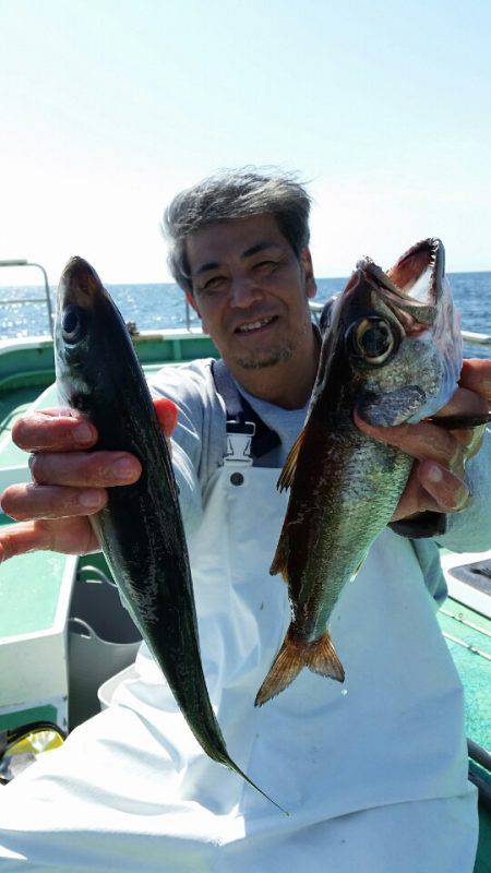 金沢八景鴨下丸 釣果