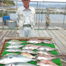 海の釣堀 海恵 釣果