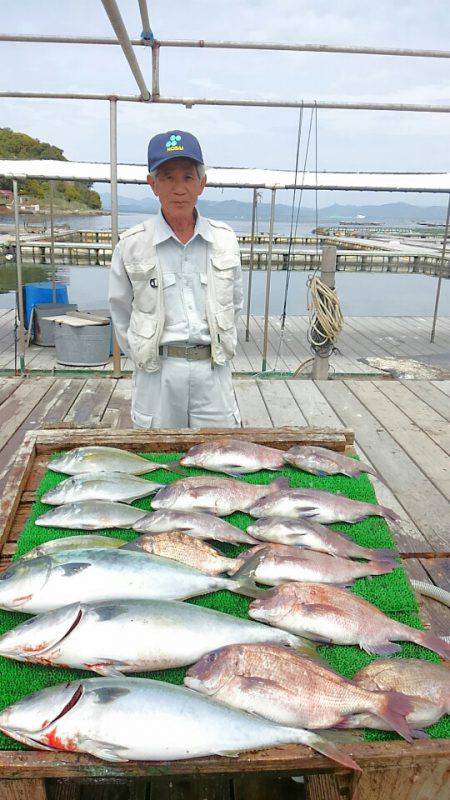 海の釣堀 海恵 釣果