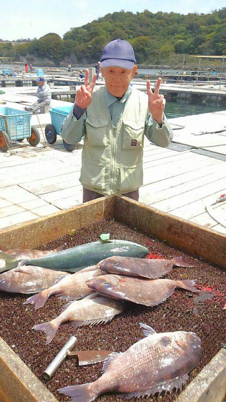海の釣堀 海恵 釣果