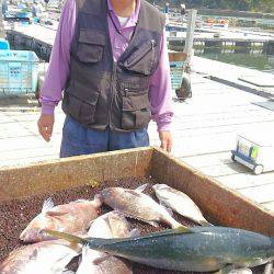 海の釣堀 海恵 釣果