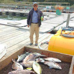 海の釣堀 海恵 釣果
